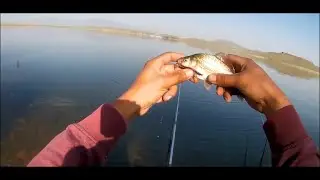 Crucian fishing/Рыбалка на карася