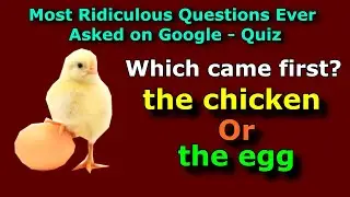 Most Ridiculous Questions Quiz | Part 1