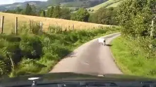 The Driveway