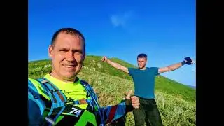 Бобры