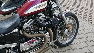 Даунгрейт воздушного фильтра. Harley Davidson Sportster XL1200