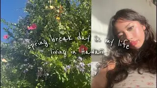 ୨୧ day in my life!! spring break edition💌 living in hawaii