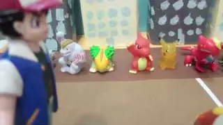 POKÉMON BATTLE DIMENSION CHAMPIONSHIP. HQ