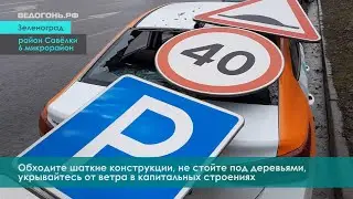 ВЕДОГОНЬ.РФ | Ветреная пятница 13-го