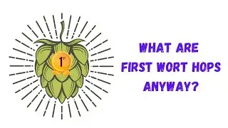 What Are First Wort Hops?
