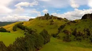 New Zealand Birds eye view