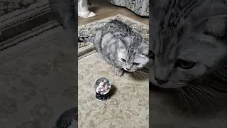 Идёт снежок неторопливо 