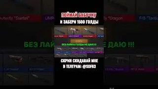 24 июля 2024 г.
