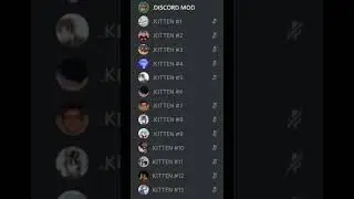 Discord kitten rollcall