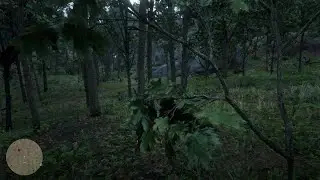 RDR2 - Chanterelle location
