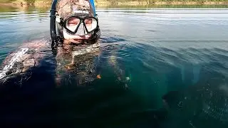 The Free Sub suit is in action. There are more and more fish, and the diving is getting better.