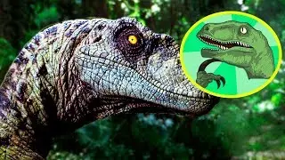 TOP 10 SMARTEST DINOSAURS