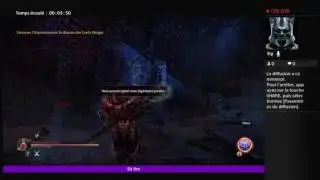 Lord of the Fallen Baton Cheater