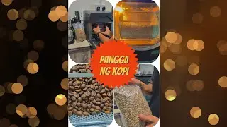 masak biji kopi, memangang kopi, bakar kopi, DIY