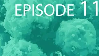 Episode 11 - Intercell Relationships