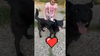 Боже, что творят!🤣🤣🤣