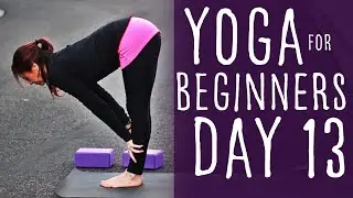 Yoga For Beginners At Home 30 Day Challenge (20 min) Day 13