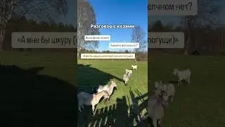 НУТРИЦИОЛОГ С КЛИЕНТАМИ 😂 Запись на консультацию в ТГ @eda_eto_ya
