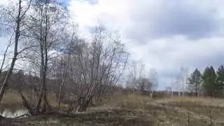 День на озере.  Всё сгорело, всё пропало ))