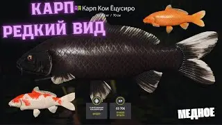 РЕДКИЕ ВИДЫ ФАРМ 1000+ ЧАС на МЕДНОМ в Русской Рыбалке 4! РР4