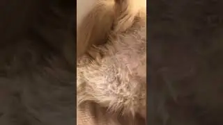 …