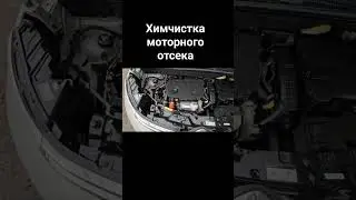 Химчиска моторного отсека