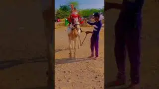 पिंट्या प्रेमी