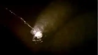 Manatee rolls over to drink water