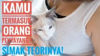 4 TIPE KEPRIBADIAN MANUSIA