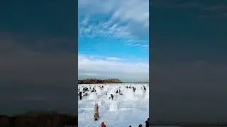 Город Эскимосов #новосибирск
