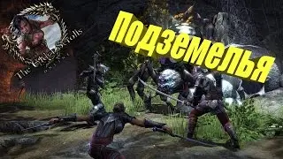 The Elder Scrolls Online - подземелья и боссы