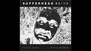Peter Hope & David Harrow - Too Hot