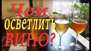 WINE CLARIFICATION WITH GELATIN / HOW TO CLARIFY WINE