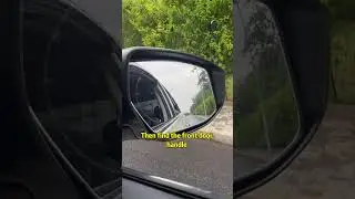 Only 2% of people know how to adjust the rearview mirror! #car