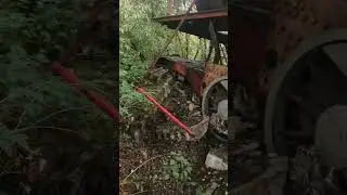 паровоз в лесу