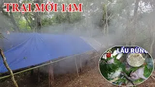 DỰNG TRẠI TRONG RỪNG - THỢ NÚI