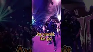 Wolf live
