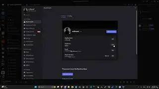 BEST FREE/PAID DISCORD USERNAME CHECKER | 2026