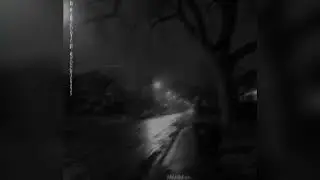 The Farewell Slowed