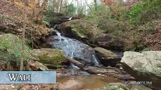 Waldrop Stone Falls HDC