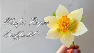 Wafer Paper Daffodil