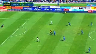 Contragolpes Letales de Pumas #1