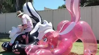 Inflatable Skunk Ride no.1