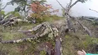 Dora La exploradora @Ushuaia - S1E2 - Lago Fangano