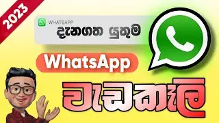දැන ගත යුතුම WhatsApp Features 2023 | WhatsApp New Update 2023 | WhatsApp Tips and Tricks | Sinhala
