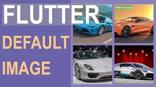 FLUTTER: Set default image in the gallery.