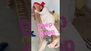 sleep stream 2023