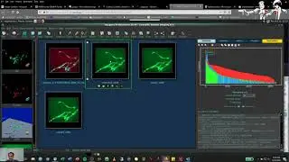 Huygens TIFF conversion and scaling