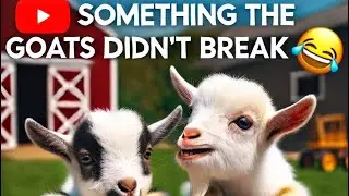 Something the goats didn’t break 🤣 + goats! | DIY 1/2 hp garbage disposal replacement & SOAP!