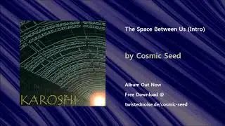 Cosmic Seed - The Space Between Us (Intro)
